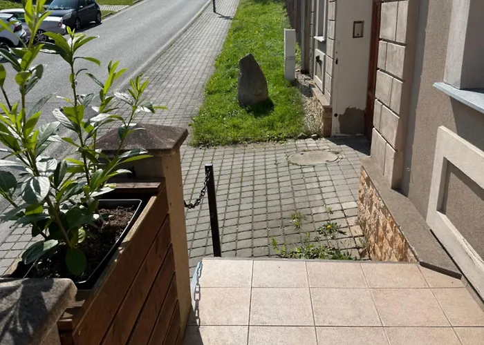 - Cernice Пльзень